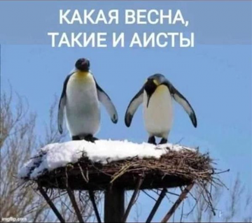https://upforme.ru/uploads/001b/4f/36/8/t709648.png