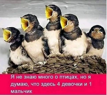 https://upforme.ru/uploads/001b/4f/36/8/t746230.png