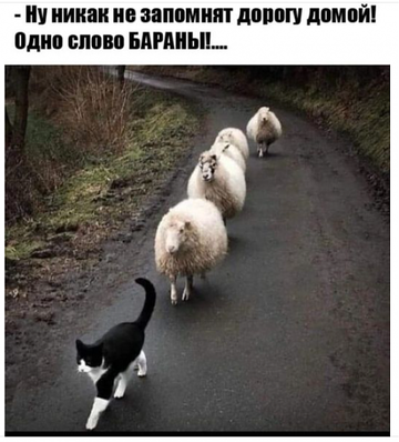 https://upforme.ru/uploads/001b/4f/36/8/t994787.png