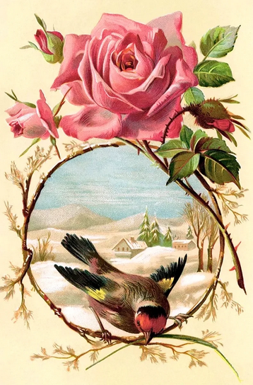 https://upforme.ru/uploads/001b/56/22/54/641120.png