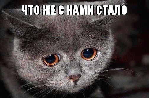 https://upforme.ru/uploads/001b/56/22/6/427797.jpg