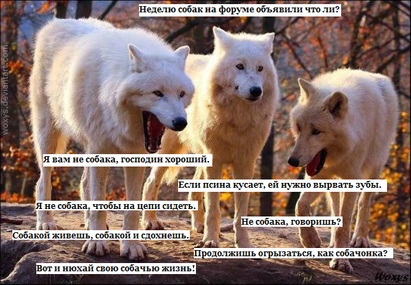 https://upforme.ru/uploads/001b/56/22/6/731165.png