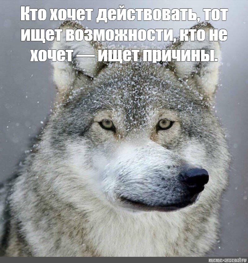https://upforme.ru/uploads/001b/56/22/6/949253.png