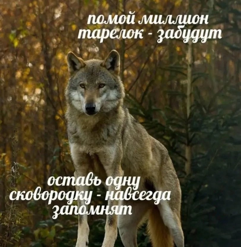 https://upforme.ru/uploads/001b/56/22/68/188498.jpg