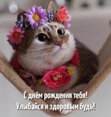 https://upforme.ru/uploads/001b/56/22/8/t907534.jpg