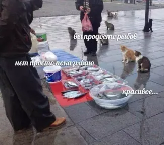 https://upforme.ru/uploads/001b/56/22/91/916918.png