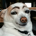 smalimg
