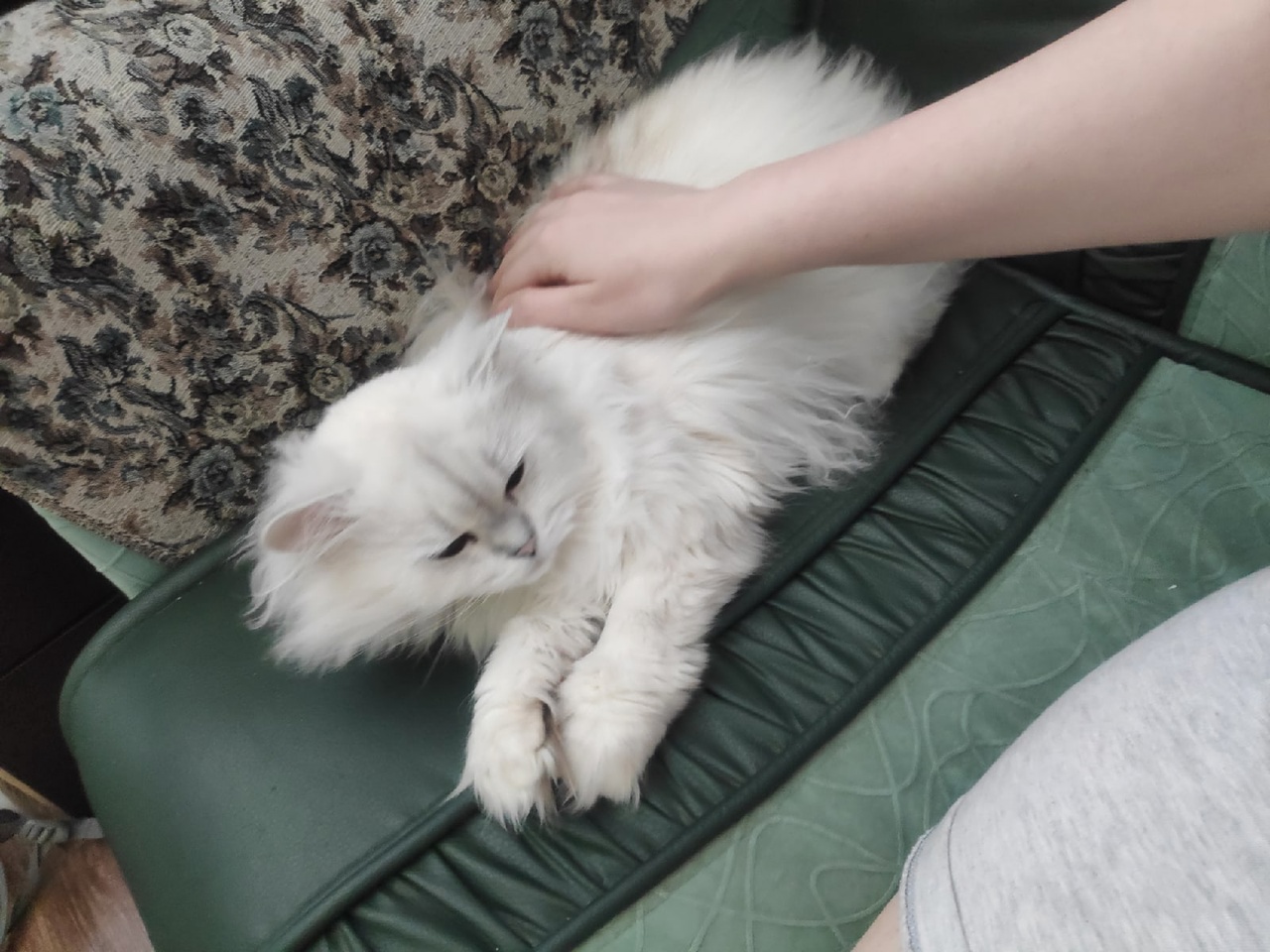 https://upforme.ru/uploads/001b/58/4b/21/92550.jpg