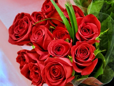 https://upforme.ru/uploads/001b/58/4b/37/480494.jpg