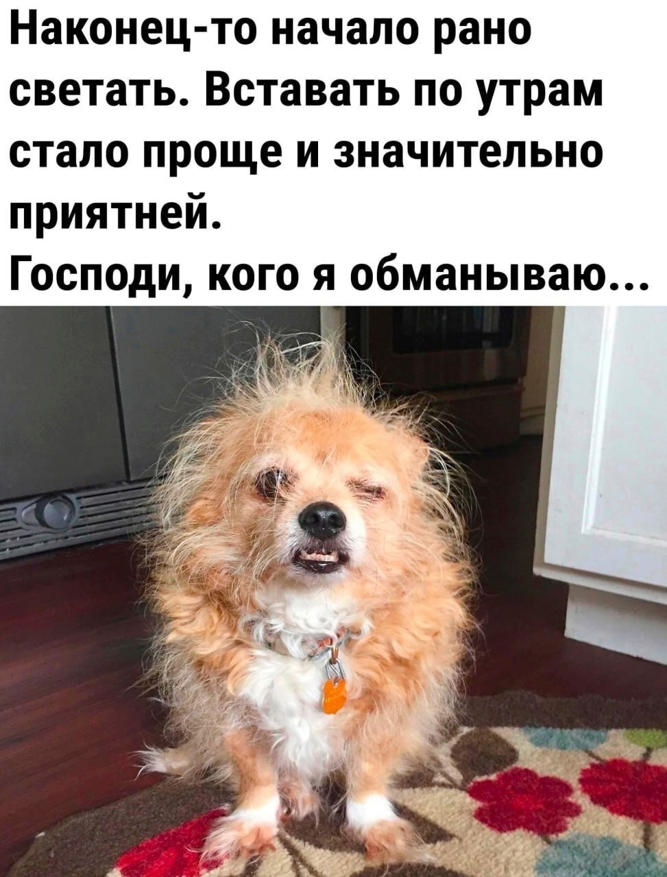 https://upforme.ru/uploads/001b/58/4b/37/760582.jpg