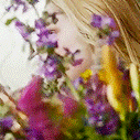 https://upforme.ru/uploads/001b/58/4b/60/t984869.gif