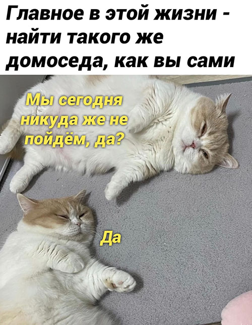 https://upforme.ru/uploads/001b/58/4b/7/788468.jpg