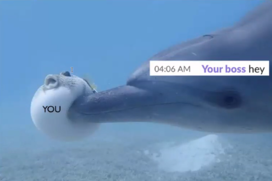 https://upforme.ru/uploads/001b/58/4b/76/534988.png