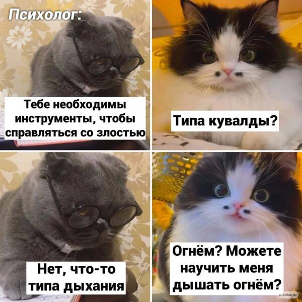 https://upforme.ru/uploads/001b/58/4b/81/t642500.jpg