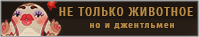 https://upforme.ru/uploads/001b/5c/82/222/47616.png