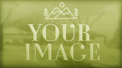 https://upforme.ru/uploads/001b/5d/2b/4/954501.png