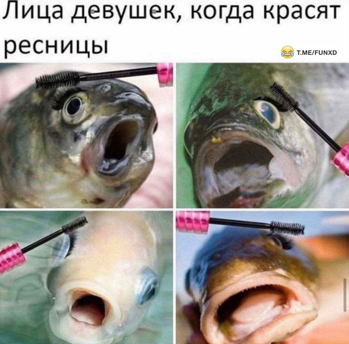 https://upforme.ru/uploads/001b/5e/12/17/591076.jpg