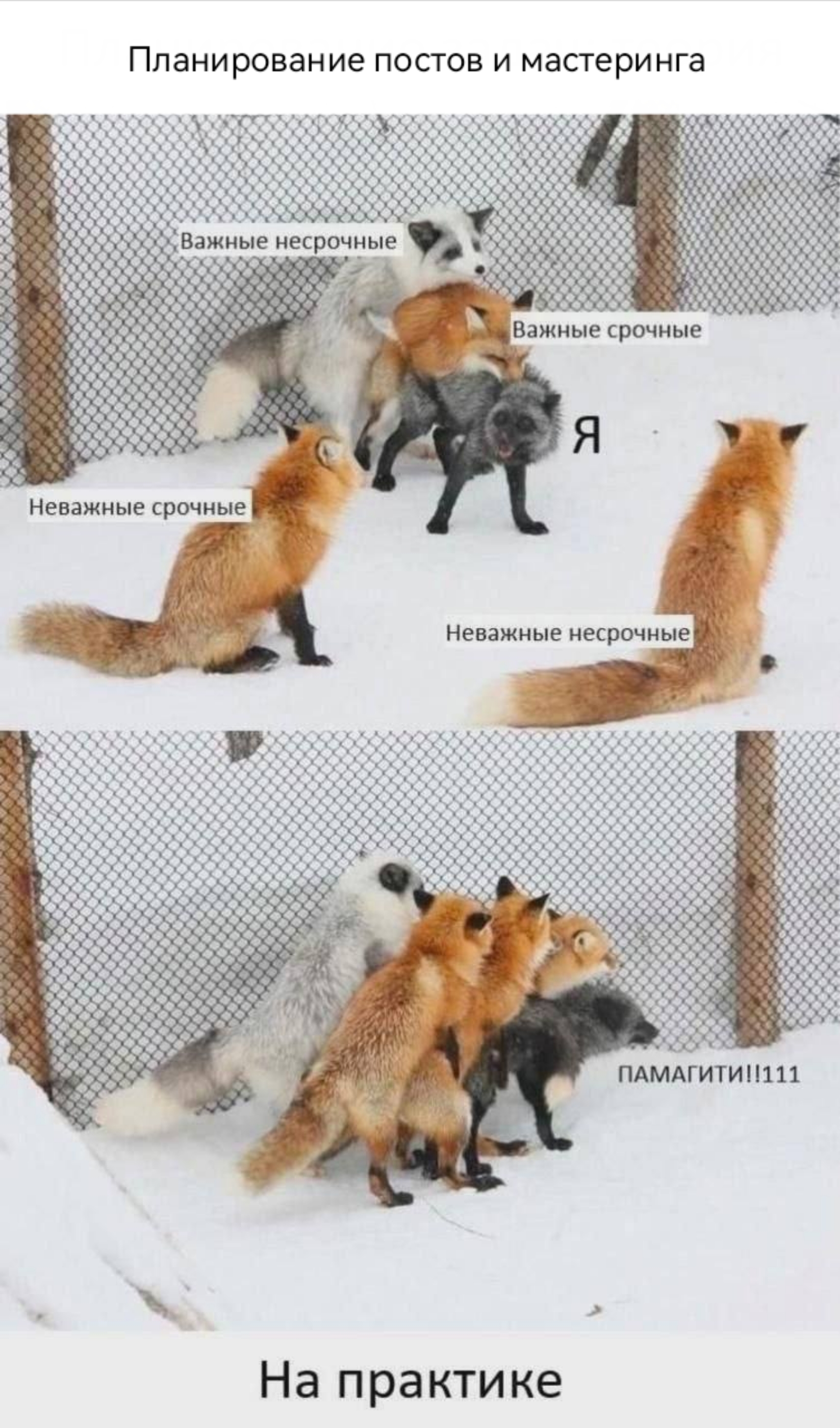 https://upforme.ru/uploads/001b/5e/12/2/796746.jpg