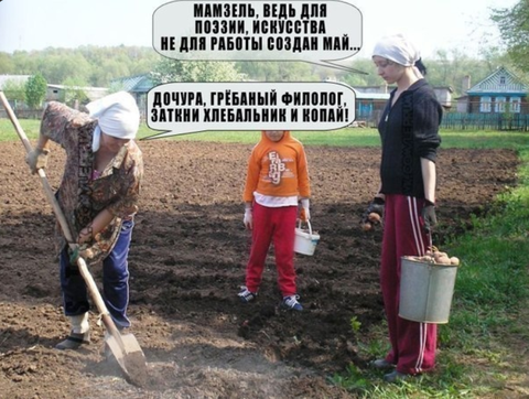 https://upforme.ru/uploads/001b/5e/12/6/t31422.png
