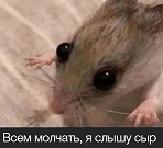 https://upforme.ru/uploads/001b/5e/12/62/182872.jpg