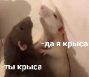 https://upforme.ru/uploads/001b/5e/12/62/375877.jpg