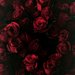 https://upforme.ru/uploads/001b/5f/bf/55/895660.png
