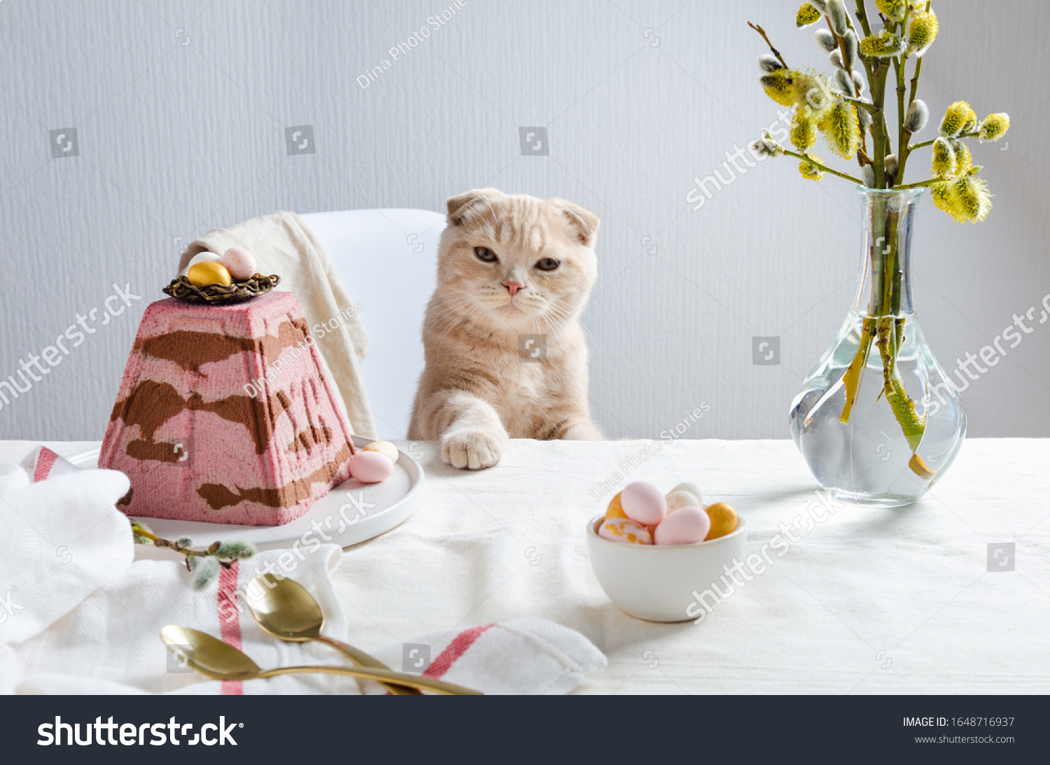 https://upforme.ru/uploads/001b/60/0e/2/129224.jpg