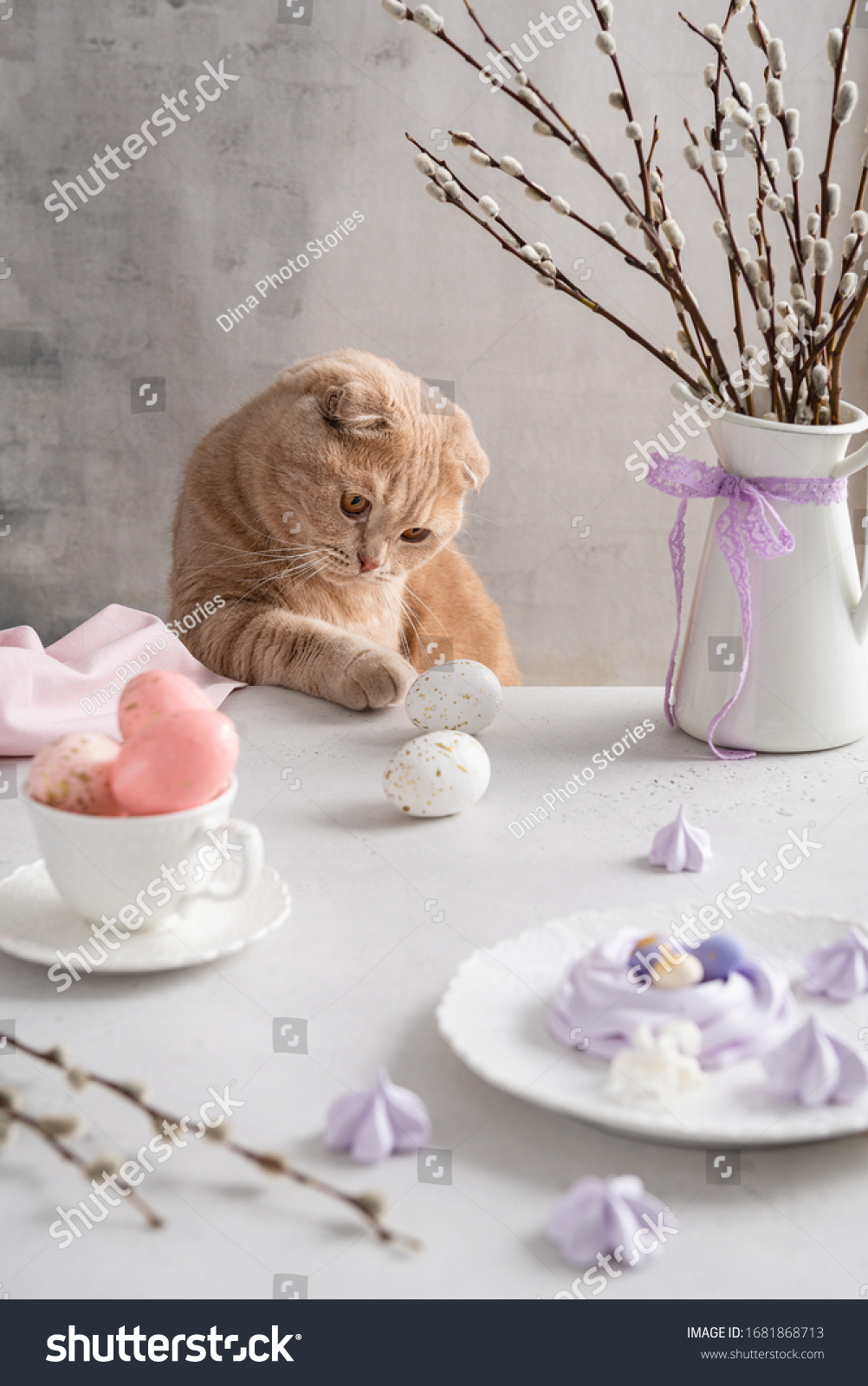 https://upforme.ru/uploads/001b/60/0e/2/54964.jpg