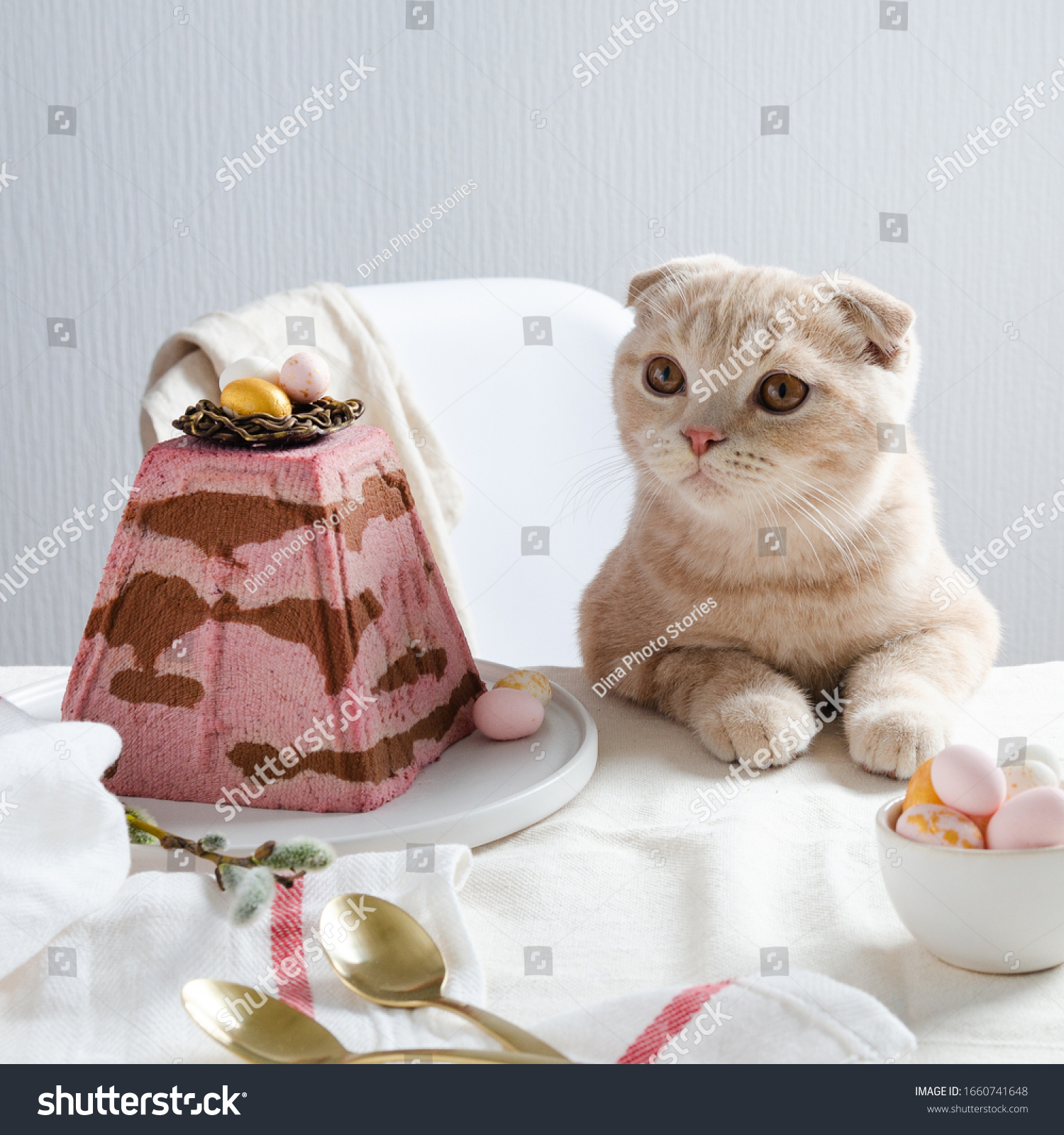 https://upforme.ru/uploads/001b/60/0e/2/805775.jpg