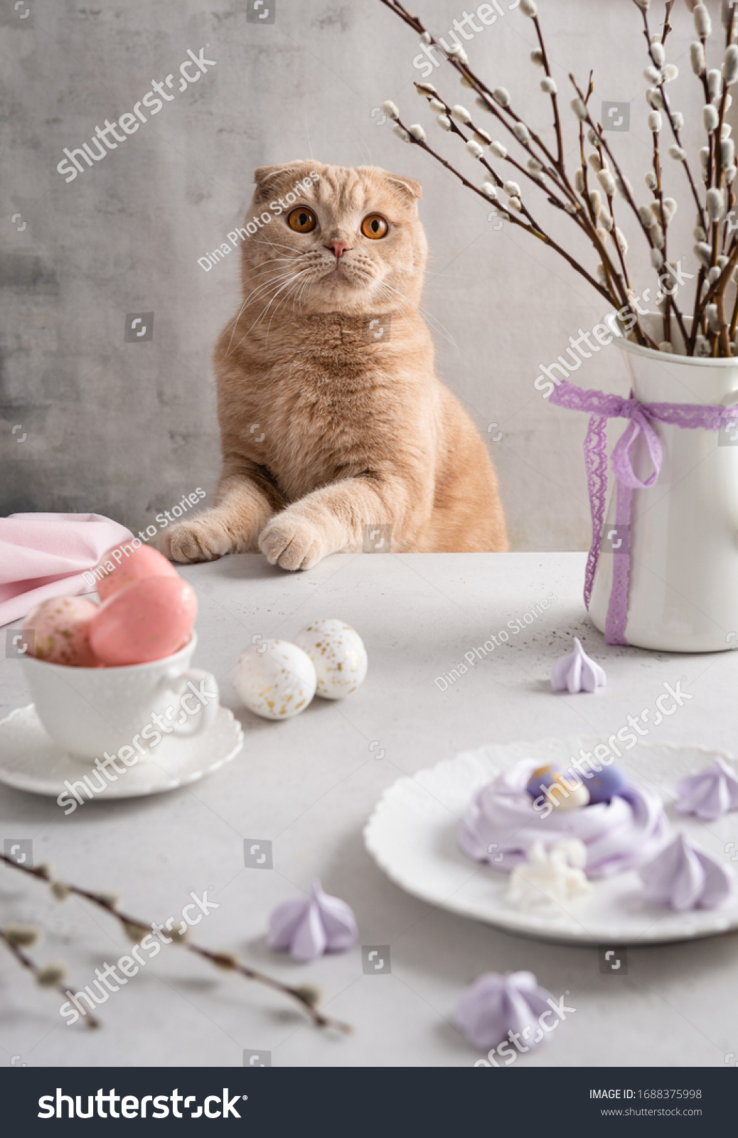 https://upforme.ru/uploads/001b/60/0e/2/895558.jpg