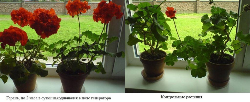 https://upforme.ru/uploads/001b/61/45/2/17594.jpg