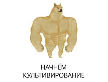 https://upforme.ru/uploads/001b/61/94/19/t195851.jpg