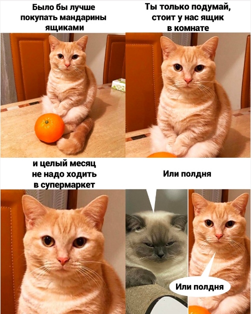 https://upforme.ru/uploads/001b/61/94/41/114996.jpg