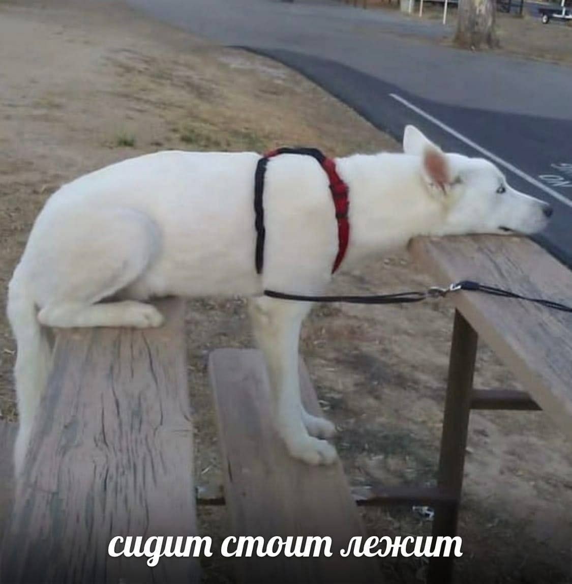 https://upforme.ru/uploads/001b/61/94/41/163545.jpg