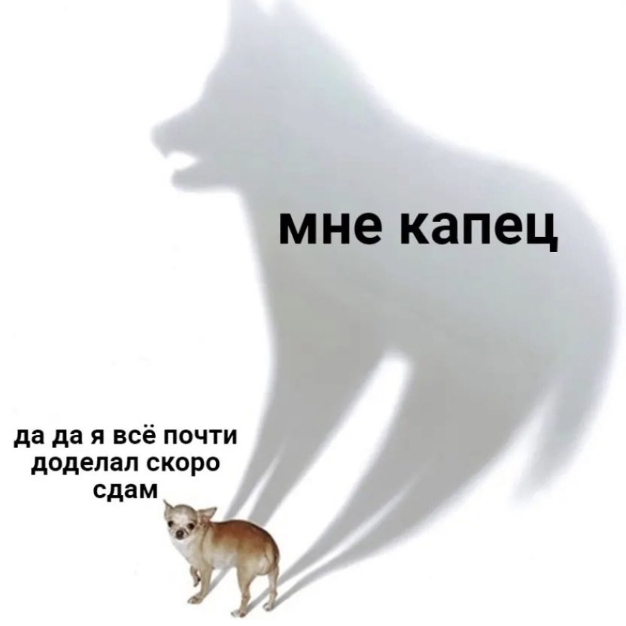 https://upforme.ru/uploads/001b/61/94/41/30775.jpg