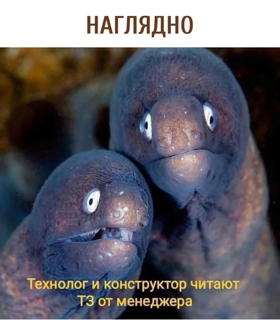 https://upforme.ru/uploads/001b/61/94/41/562258.jpg