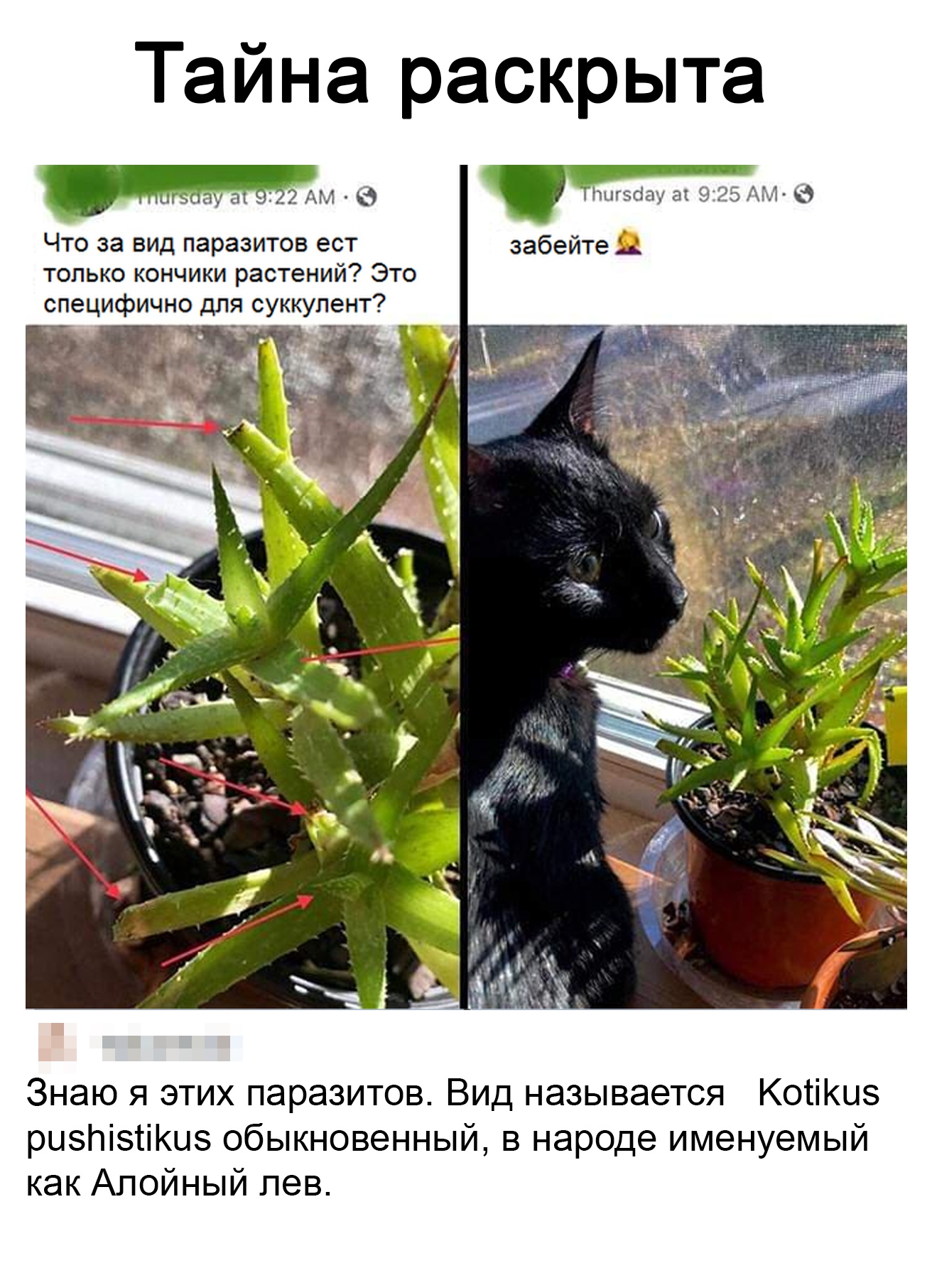 https://upforme.ru/uploads/001b/61/94/41/566796.jpg