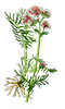https://upforme.ru/uploads/001b/65/49/2/114267.png