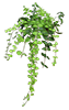 https://upforme.ru/uploads/001b/65/49/2/213823.png