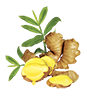 https://upforme.ru/uploads/001b/65/49/2/224255.png