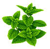 https://upforme.ru/uploads/001b/65/49/2/239758.png