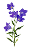 https://upforme.ru/uploads/001b/65/49/2/262017.png