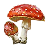 https://upforme.ru/uploads/001b/65/49/2/360972.png
