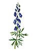 https://upforme.ru/uploads/001b/65/49/2/564808.png