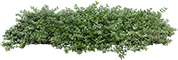 https://upforme.ru/uploads/001b/65/49/2/62741.png