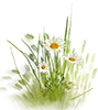 https://upforme.ru/uploads/001b/65/49/2/752802.png
