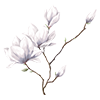 https://upforme.ru/uploads/001b/65/49/2/946001.png