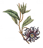 https://upforme.ru/uploads/001b/65/49/2/966246.png