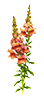 https://upforme.ru/uploads/001b/65/49/2/996153.png