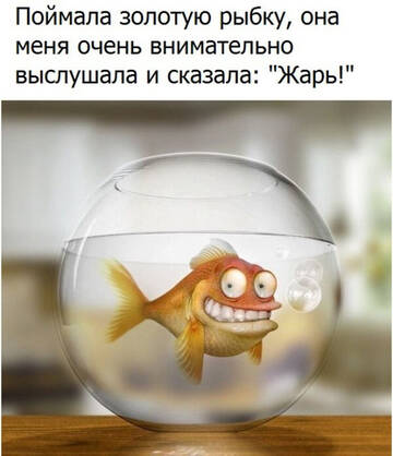 https://upforme.ru/uploads/001b/68/84/2/t37806.jpg